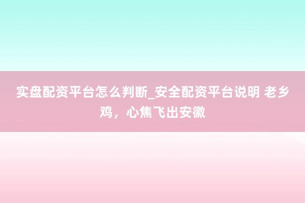 实盘配资平台怎么判断_安全配资平台说明 老乡鸡，心焦飞出安徽